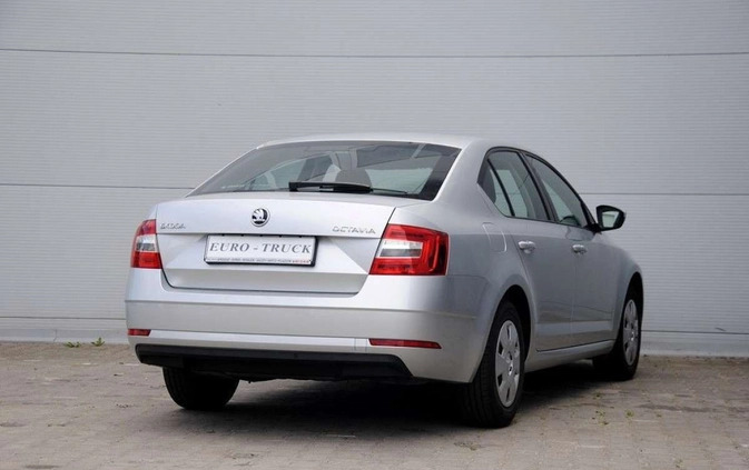 Skoda Octavia cena 43400 przebieg: 144000, rok produkcji 2019 z Sopot małe 67